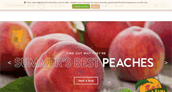 Desktop Screenshot of metropolitan-market.com